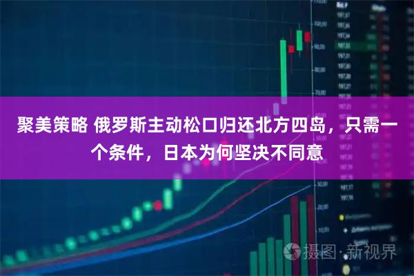 聚美策略 俄罗斯主动松口归还北方四岛，只需一个条件，日本为何坚决不同意