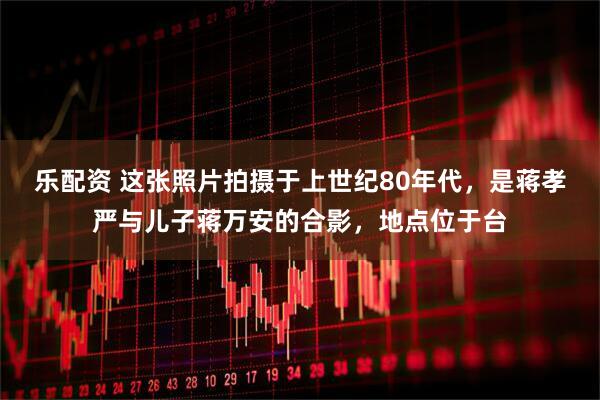乐配资 这张照片拍摄于上世纪80年代，是蒋孝严与儿子蒋万安的合影，地点位于台