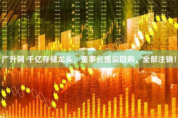 广升网 千亿存储龙头，董事长提议回购，全部注销！