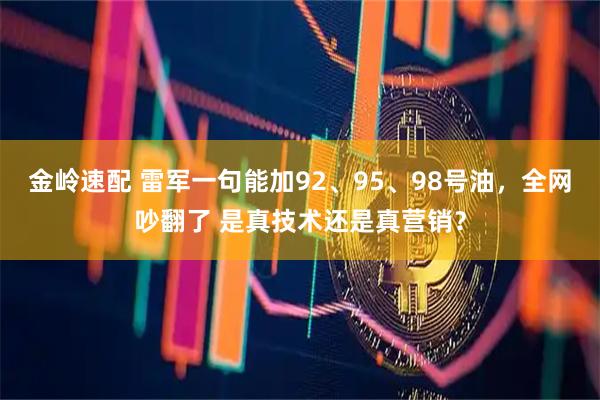 金岭速配 雷军一句能加92、95、98号油，全网吵翻了 是真技术还是真营销？