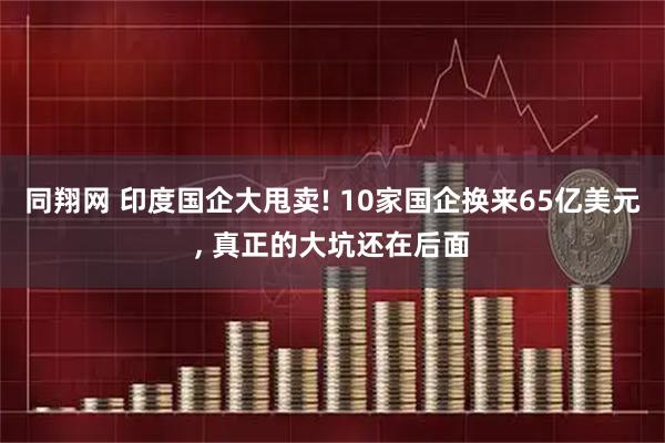 同翔网 印度国企大甩卖! 10家国企换来65亿美元, 真正的大坑还在后面
